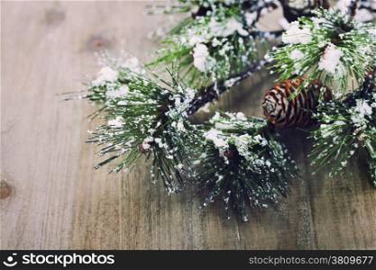 Christmas pine tree branch on wooden background