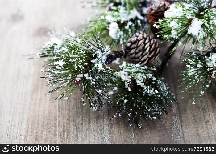 Christmas pine tree branch on wooden background
