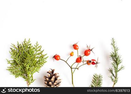 Christmas plants over white background. Flat lay forest and nature concept. minimalistic Reindeer Face