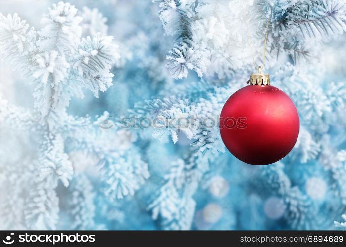 Christmas Red Ball Hanging on a Tree Branch in the Snow Winter Forest