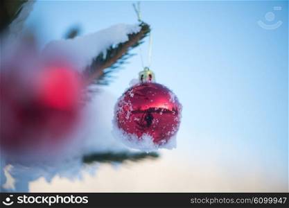 christmas red balls on pine tree covered with fresh snow
