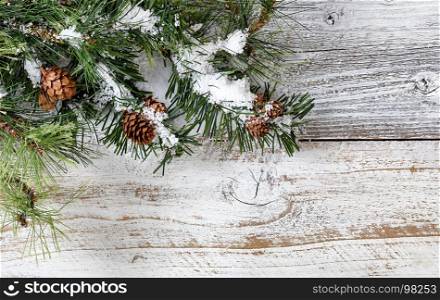 Christmas rough fir tree branches and snow on rustic white wooden background