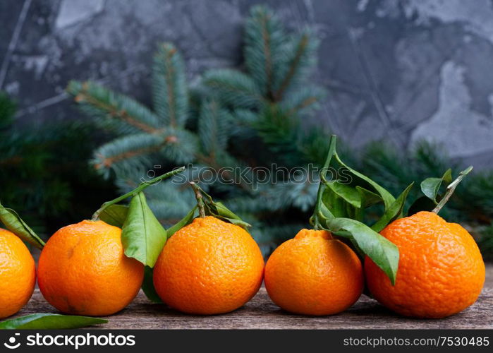 Christmas scene with fresh tangeines and pine. Christmas scene with tangerines