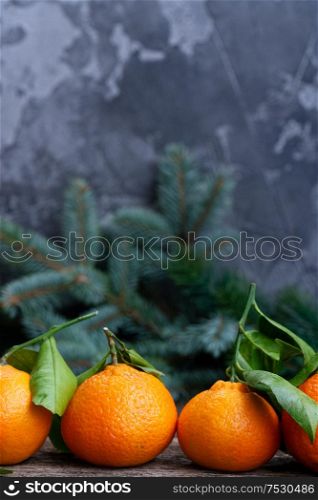 Christmas scene with fresh tangeines and pine, copy space on wall background. Christmas scene with tangerines