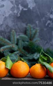 Christmas scene with fresh tangeines and pine, copy space on wall background. Christmas scene with tangerines