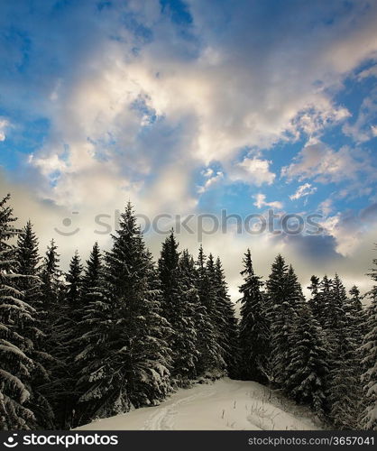 Christmas theme- frozen trees