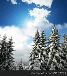 Christmas theme- frozen trees