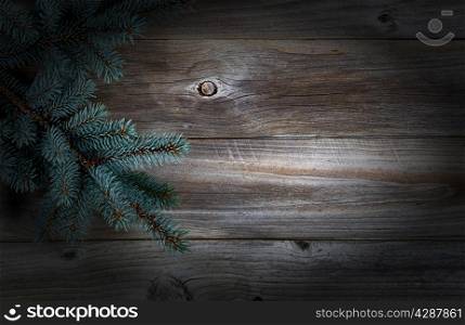 Christmas Tree Branch on Rustic wooden boards with vignette border