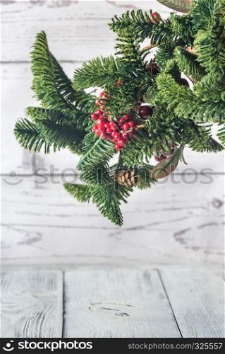 Christmas tree branch on the white background