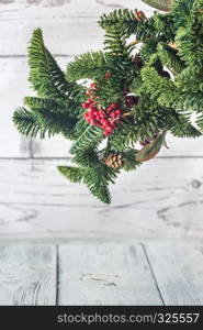 Christmas tree branch on the white background