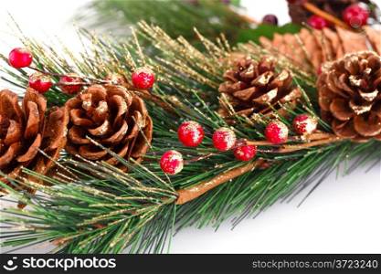 Christmas tree branch with cones on white background.