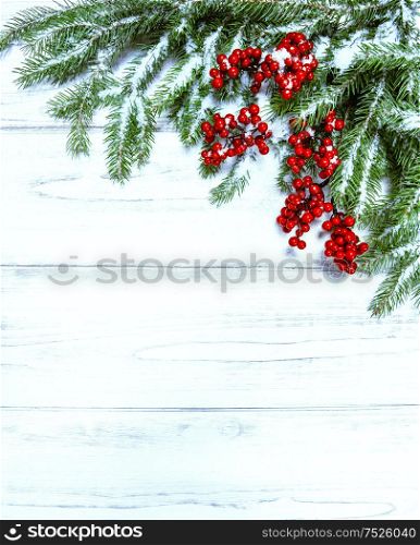 Christmas tree branch with red berries on wooden background. Winter holidays decoration. Retro toned, cold colors