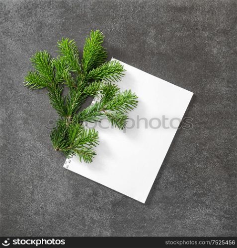 Christmas tree branch with white papaer on dark stone background. Flat lay