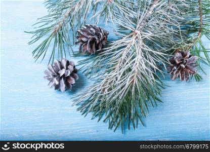 Christmas tree branches and cones on snow background. fir branches covered with snow and cones on a background of stylized snow