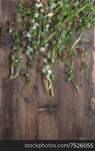 Christmas tree branches hanging over rustic wooden background