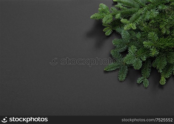 Christmas tree branches on black background