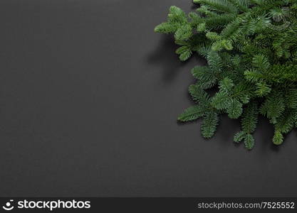 Christmas tree branches on black background