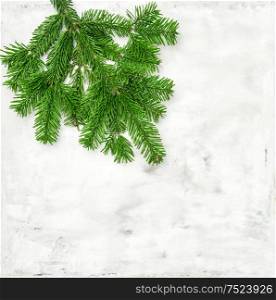 Christmas tree branches on bright stone background. Evergreen twigs on marble texture