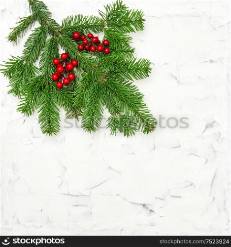 Christmas tree branches on bright stone background. Evergreen twigs on white wall texture