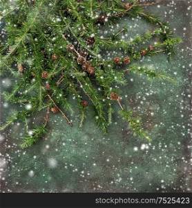 Christmas tree branches on dark concrete texture. Holidays background with snow effect
