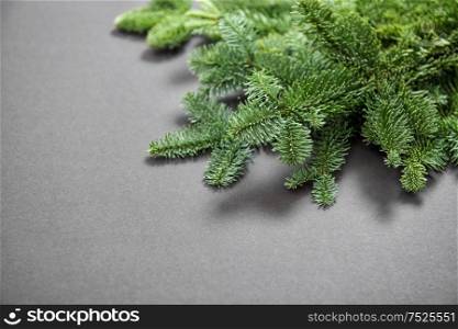 Christmas tree branches on gray background. Selective focus