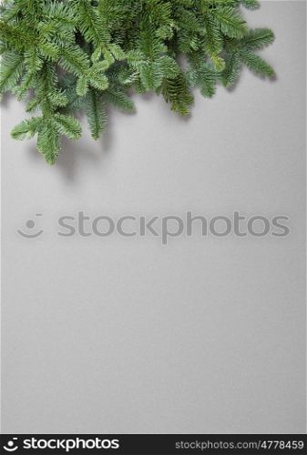 Christmas tree branches on grey paper texture. Winter holidays background