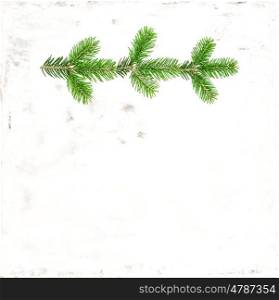 Christmas tree branches on textured wall background. Minimalistic flat lay