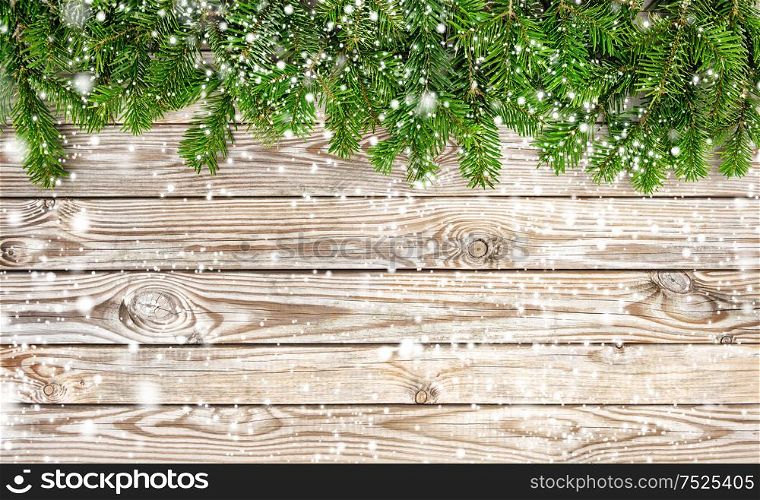Christmas tree branches on wooden background. Winter holidays border with snow effect
