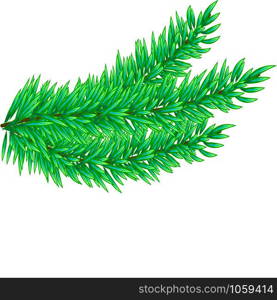 Christmas tree branches set for decoration. Spruce branches of different shapes. Vector illustration