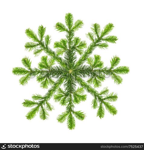 Christmas tree branches shaped snowflake. Spruce twigs isolated on white background