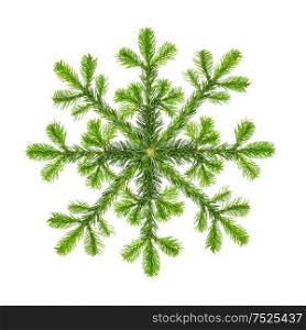 Christmas tree branches shaped snowflake. Spruce twigs isolated on white background