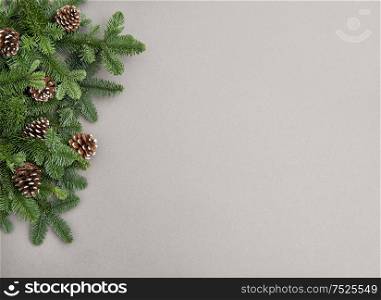 Christmas tree branches with cones on gray background. Minimal winter backdrop