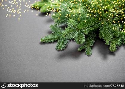 Christmas tree branches with golden lights on dark background. Winter holidays