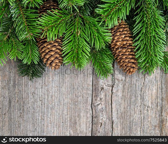 Christmas tree branches with pine cones. Green border from undecorated evergreen twigs