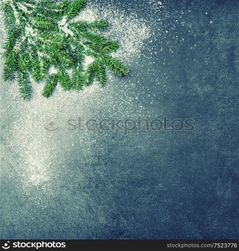 Christmas tree branches with snow. Winter holidays background. Vintage style toned picture