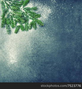 Christmas tree branches with snow. Winter holidays background. Vintage style toned picture