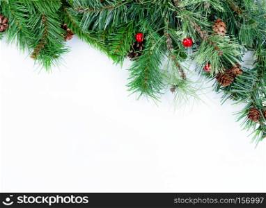 Christmas tree evergreen branches on white background