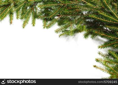 Christmas tree fir frame isolated on white background