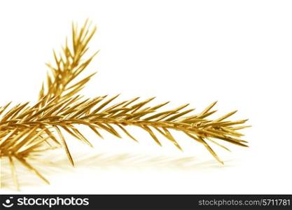Christmas tree golden branch isolated on white background