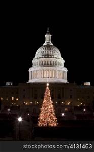 Christmas tree in front of a government building, Capitol Building, Washington DC, USA