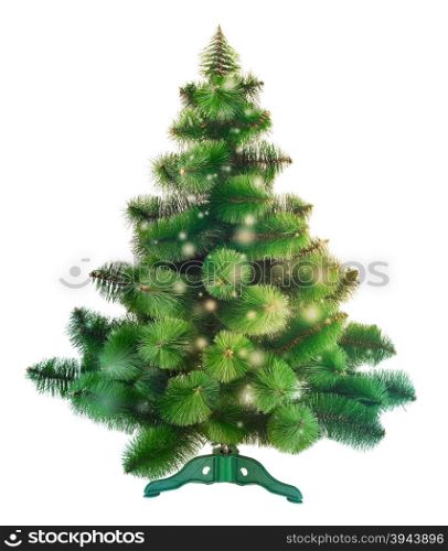 Christmas tree isolated