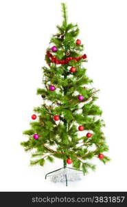 Christmas tree. Isolated decorated christmas tree