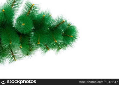 Christmas tree isolated on the white background