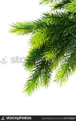 Christmas tree isolated on the white background