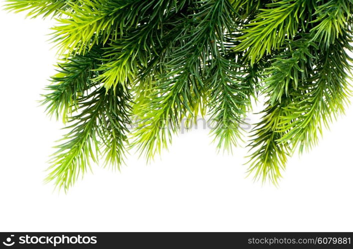 Christmas tree isolated on the white background