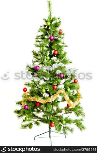 christmas tree isolated on white