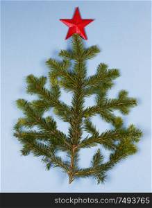 Christmas tree natural spruce branch and red star on blue background. Christmas tree branch and star
