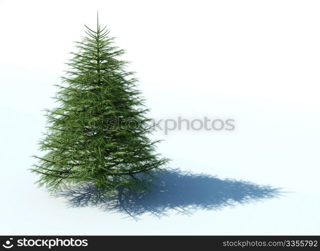 christmas tree on a white background