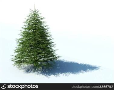 christmas tree on a white background