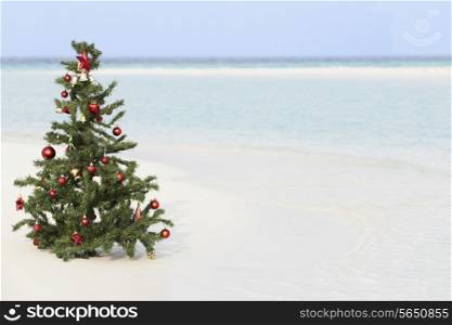 Christmas Tree On Beautiful Tropical Beach